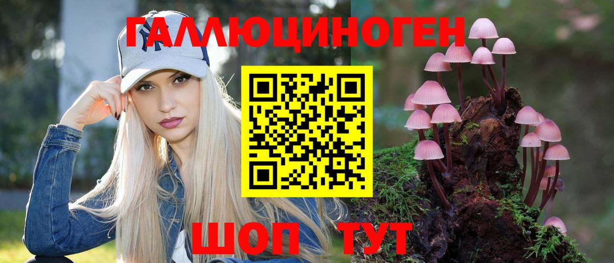 Псилоцибиновые грибы прущие грибы Волгоград